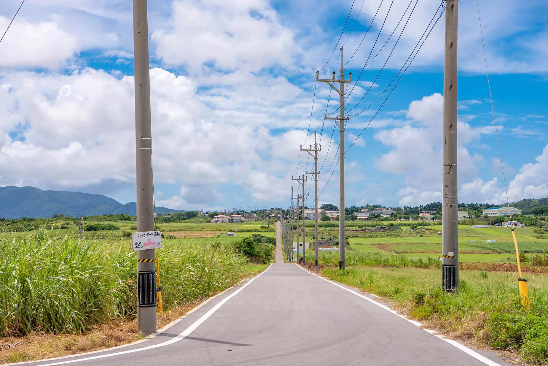 kohama island sugar road