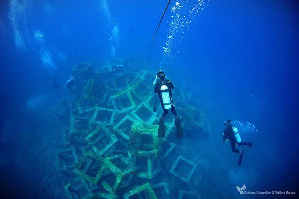 amuro fish reef