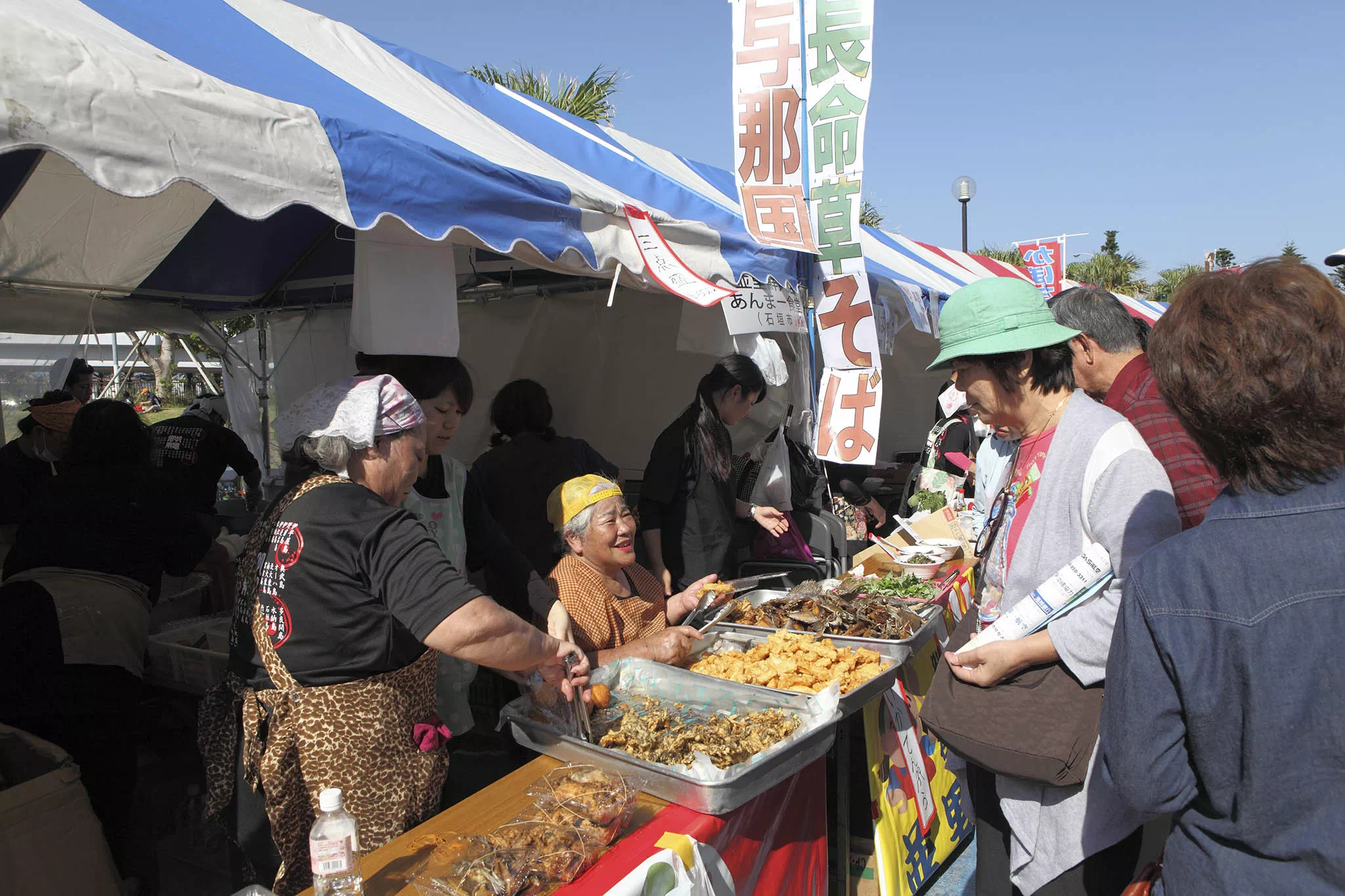 remote island fair