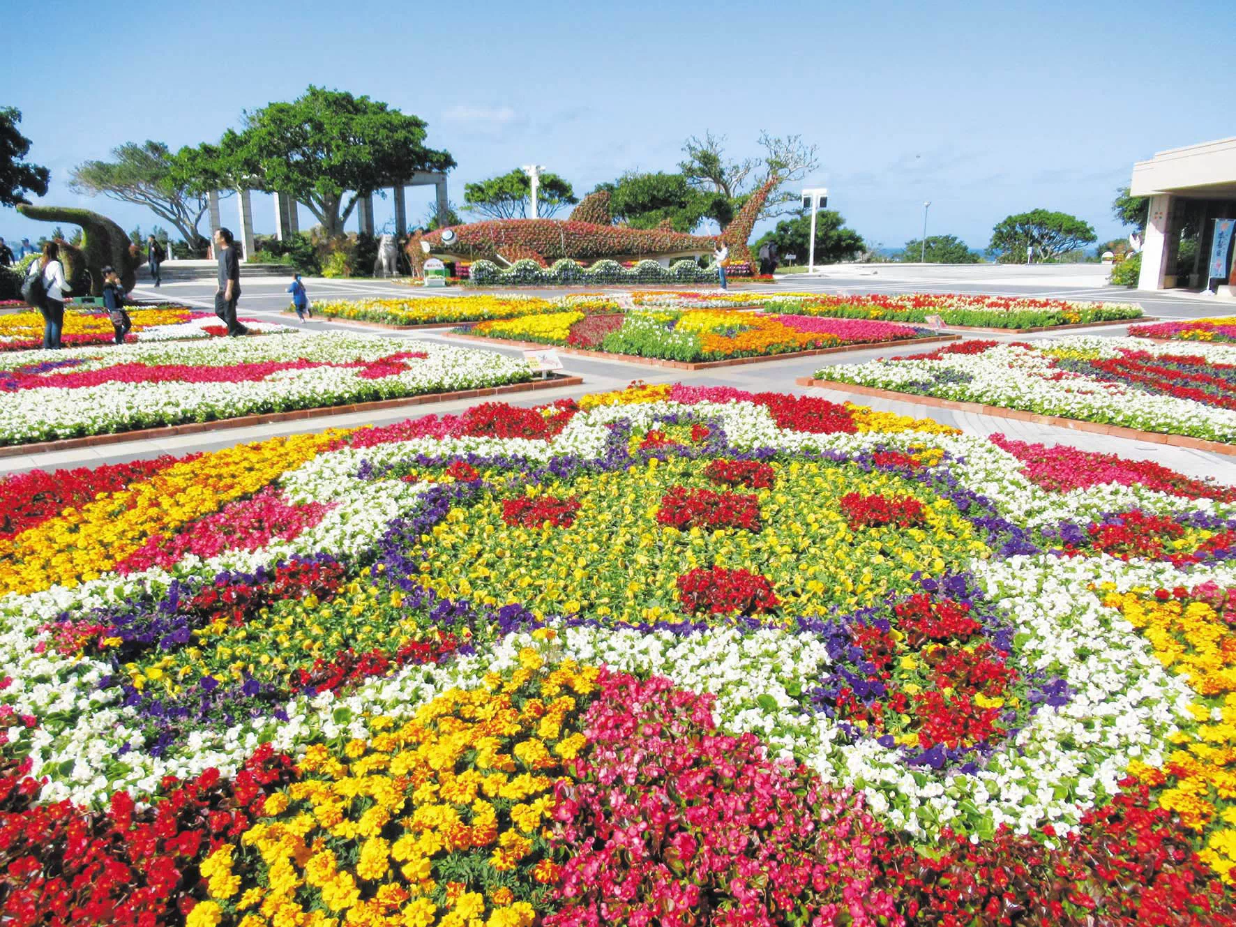 okinawa flower carnival