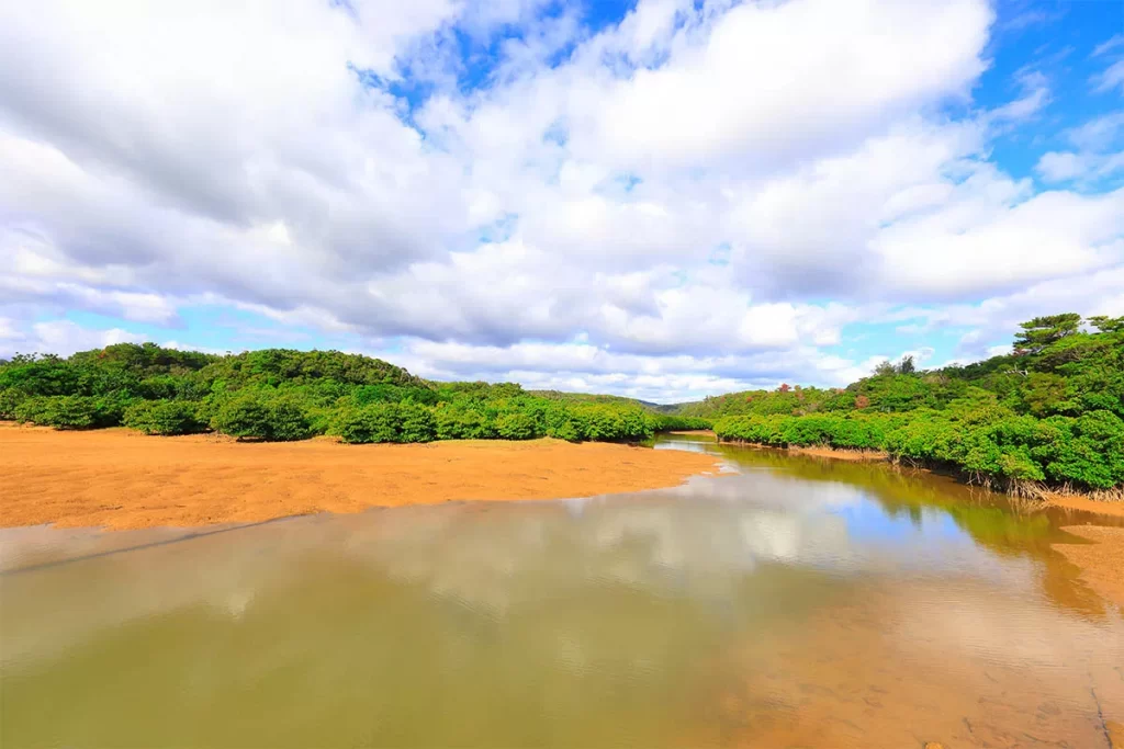 yambaru national park