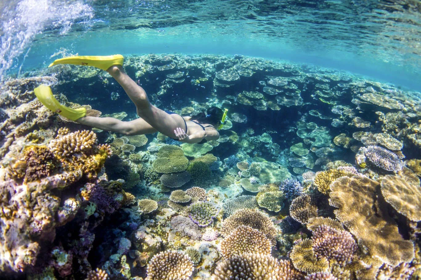 snorkeling in okinawa
