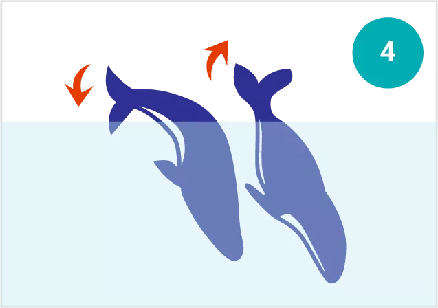 Fluke up and down