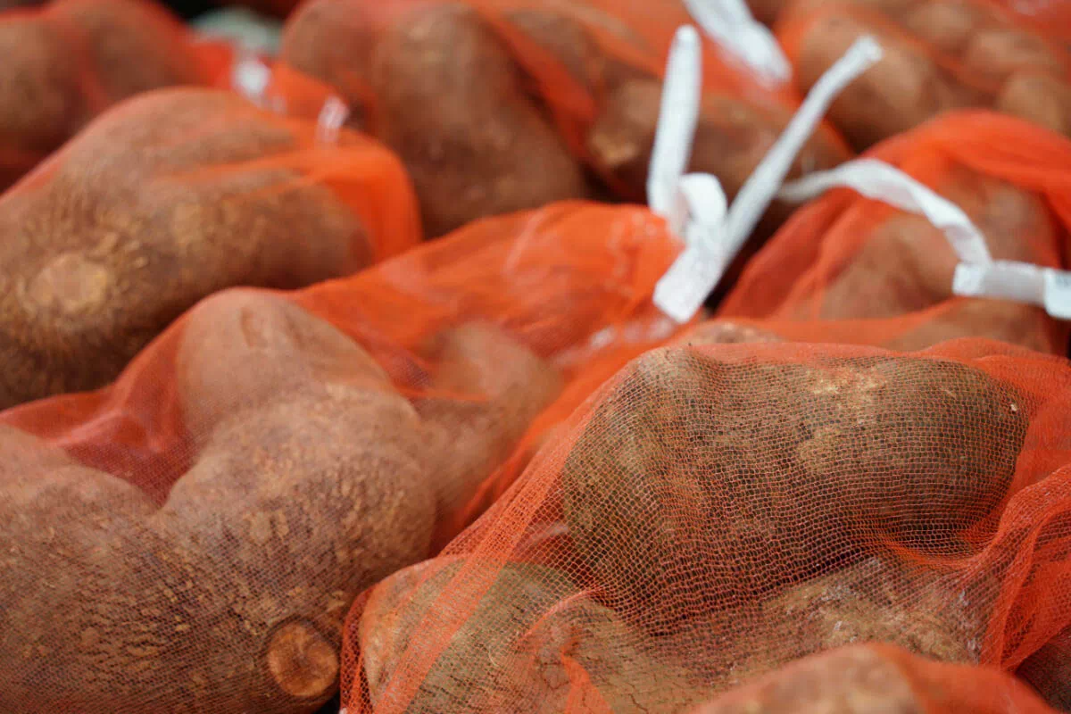urumarche vegetables