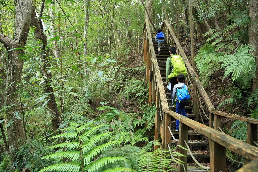 march hiking okinawa